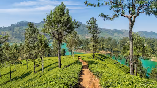 Daylight descent and wrap-up