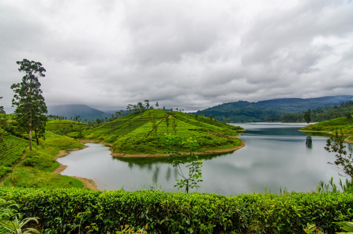 Castlereigh Reservoir Tea Trails & Water Loop