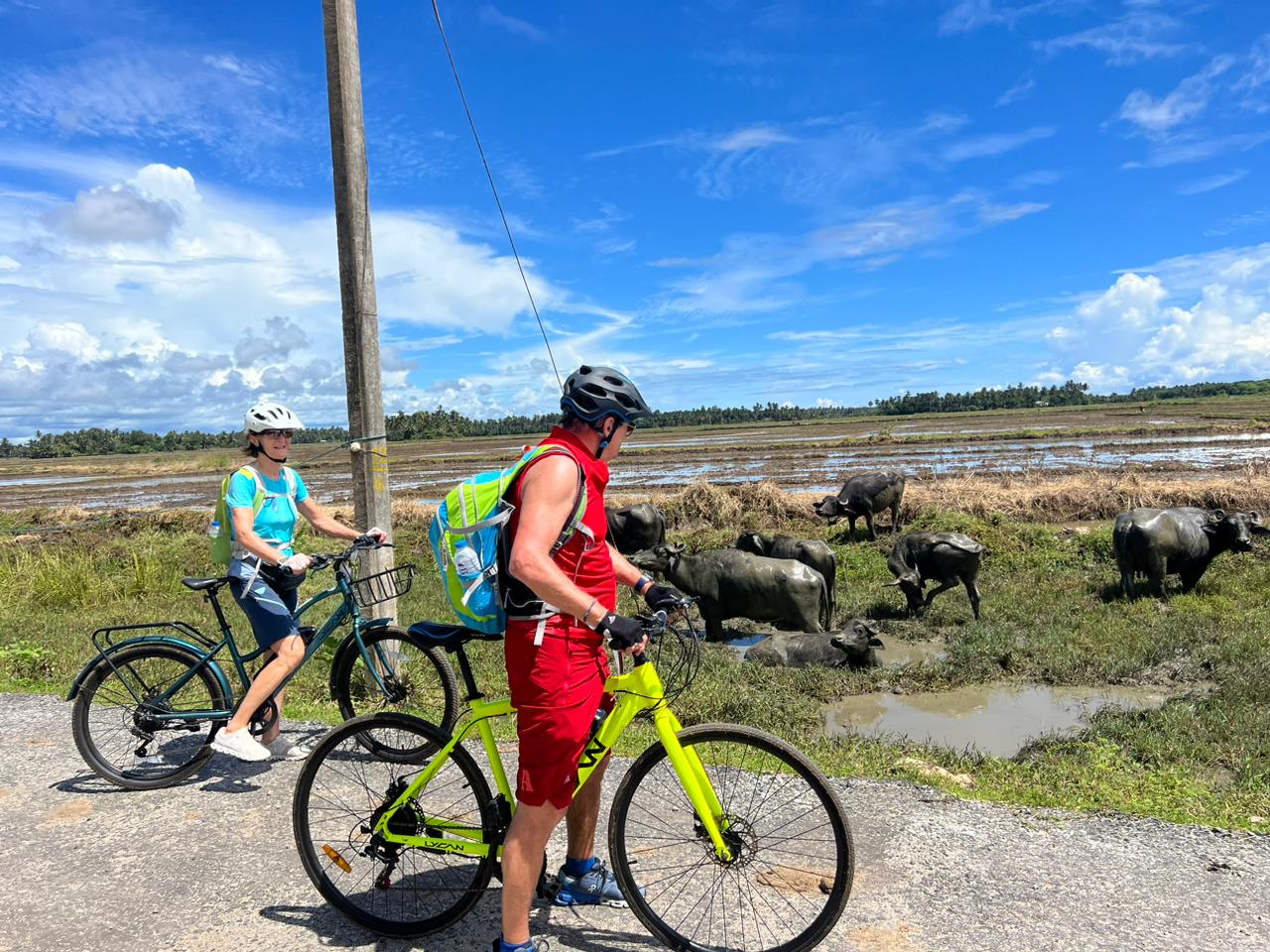 Grand Tour - image 2