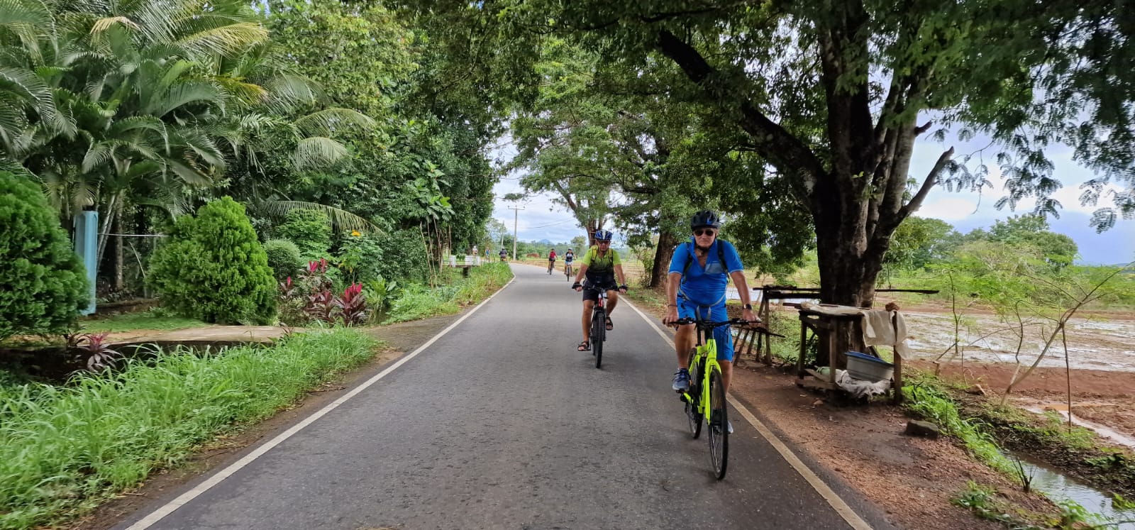 Grand Tour - image 5