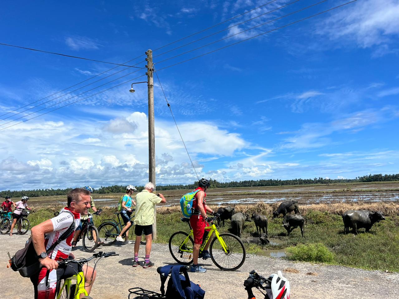 Grand Tour - image 6