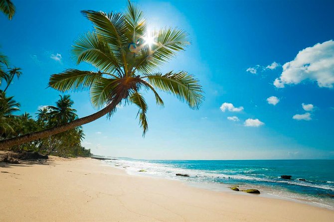 Day 14 & 15 - Negombo